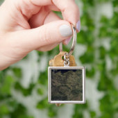 中央ヨーロッパ キーホルダー (手)