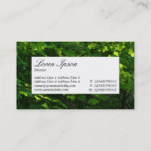 中央ラベル – 春葉 名刺 (裏面)
