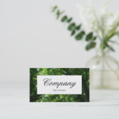 中央ラベル – 樹木II 名刺 (スタンド正面)