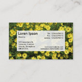 中央ラベルv3 – 黄色のデイジー 名刺 (裏面)