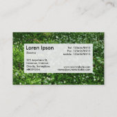 中央ラベルv3 - Woodland Flowers 名刺 (裏面)