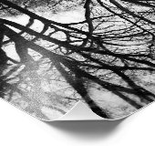 中央公園の美しい冬の風景 フォトプリント            (角)