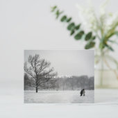 中央公園、はがき ポストカード (スタンド正面)