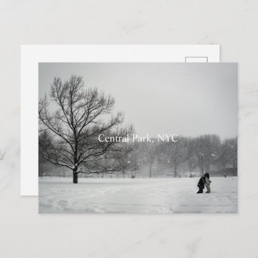 中央公園、はがき ポストカード (正面/裏面)