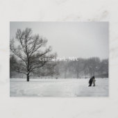 中央公園、はがき ポストカード (正面)