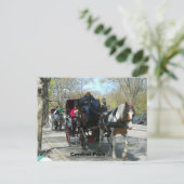 中央公園、馬と馬車 ポストカード (スタンド正面)