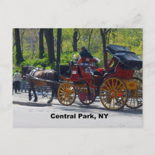 中央公園、馬と馬車 ポストカード