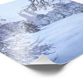 中央凍ってい公園の池 フォトプリント            (角)