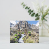 中央山ケニア国立公園 ポストカード (スタンド正面)