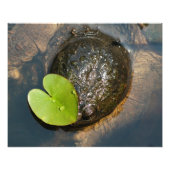 中央揃え フォトプリント            (正面)