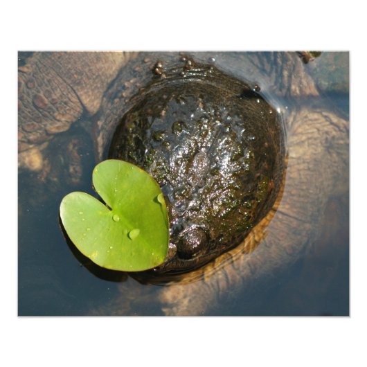 中央揃え フォトプリント            (正面)