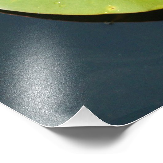 中央揃え フォトプリント            (角)