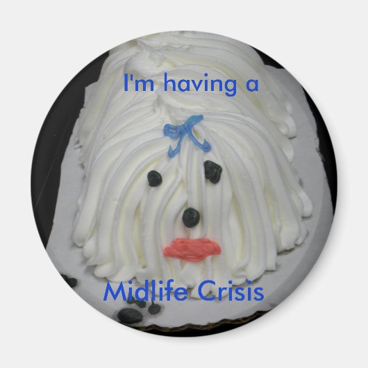 中寿命危機マグネット マグネット (正面)