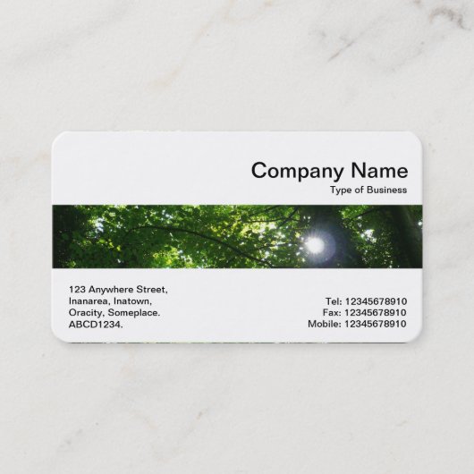 中帯 – 樹木を通る太陽 名刺 (正面)