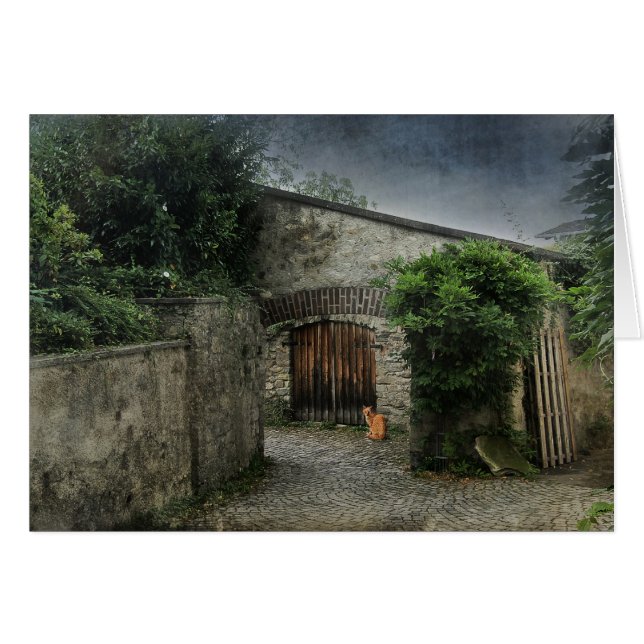 中庭の猫 (正面横)