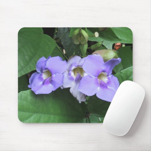 中庭の花、DJ 06 マウスパッド (マウス)