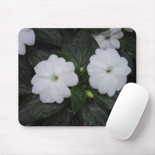 中庭の開花、DJ 06 マウスパッド (マウス)