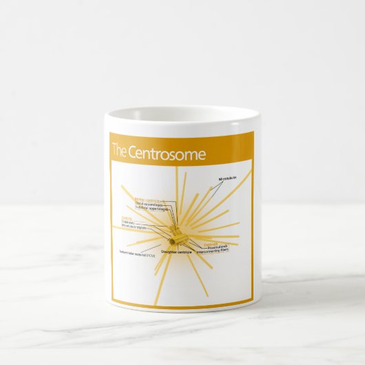 中心体の図表 コーヒーマグカップ (中央)