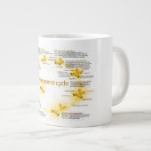 中心体周期の図表 ジャンボコーヒーマグカップ (正面右)