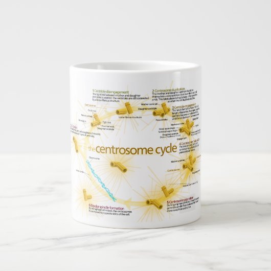 中心体周期の図表 ジャンボコーヒーマグカップ (正面)