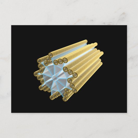 中心概念イメージ ポストカード (正面)