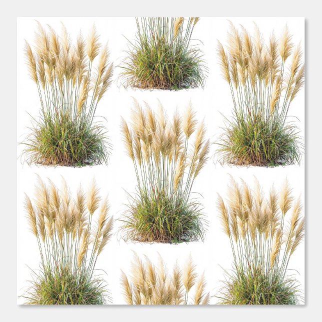 中性海綿壁紙壁紙 壁紙 (正面)