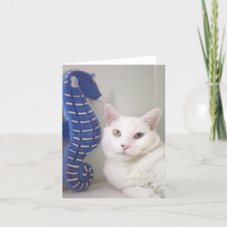 中挨拶状のブランク カード