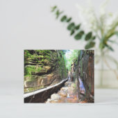 中断パスストリームフランコニアノッチNHポストカード ポストカード (スタンド正面)