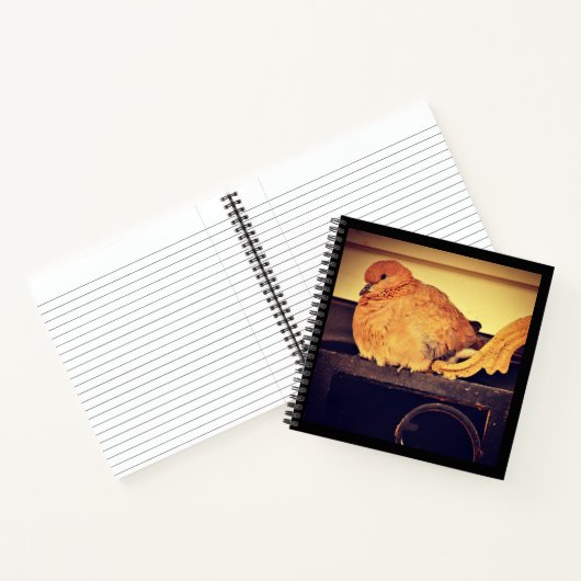 中断 ノートブック (内部)