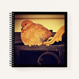 中断 ノートブック