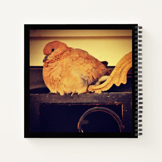 中断 ノートブック (裏面)