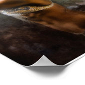 中東舞踊 ポスター (角)