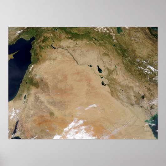 中東 ポスター (正面)