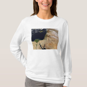中東 Tシャツ