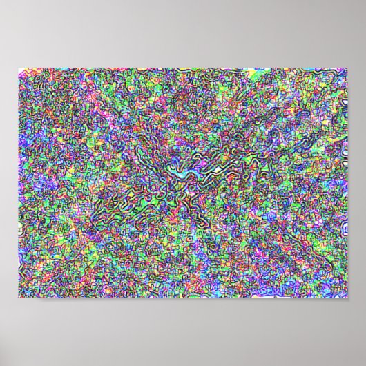 中枢神経系 ポスター (正面)