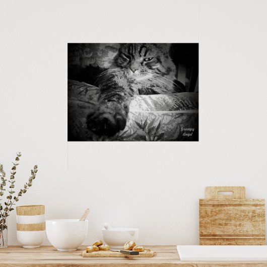 中爪付き猫 ポスター (キッチン)