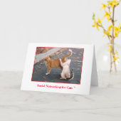 中猫のブランクのための社会的なネットワーキング カード (黄色い花)