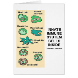 中生得の免疫組織の細胞