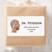 中矢状脳断面積 ラベル (インサイチュ)