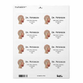 中矢状脳断面積 ラベル (フルシート)