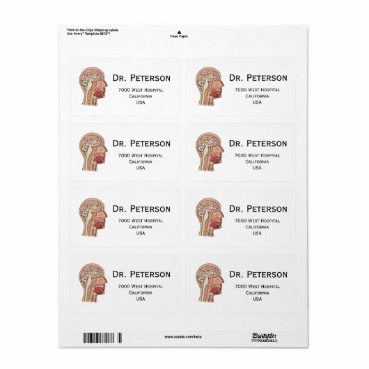 中矢状脳断面積 ラベル (フルシート)