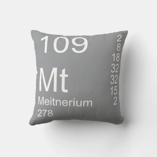 中神経症 クッション (裏面)