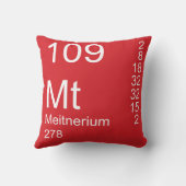 中神経症 クッション (裏面)