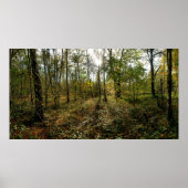 中秋 ポスター (正面)