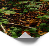 中秋 ポスター (角)