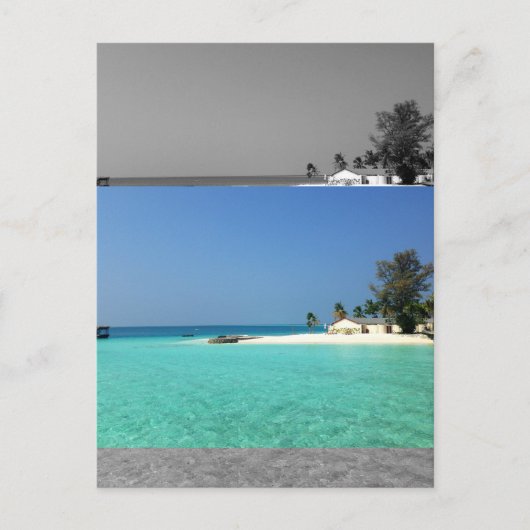 中程度のセピアモダンフラットイメージエフェクト ポストカード (正面)