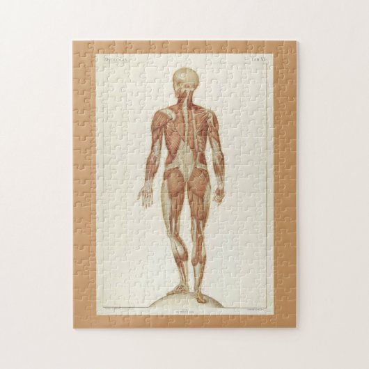 中程度のチャレンジヴィンテージ解剖学ブックページ ジグソーパズル (縦)