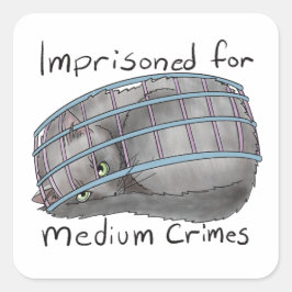 中程度の犯罪 スクエアシール