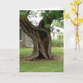 中空の木 カード (黄色い花)