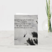 中空スパイダーノテカード カード (裏面)